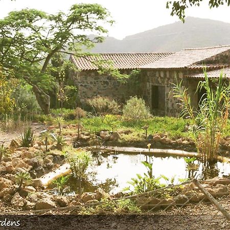 Live Finca San Miguel San Miguel de Abona Exterior photo
