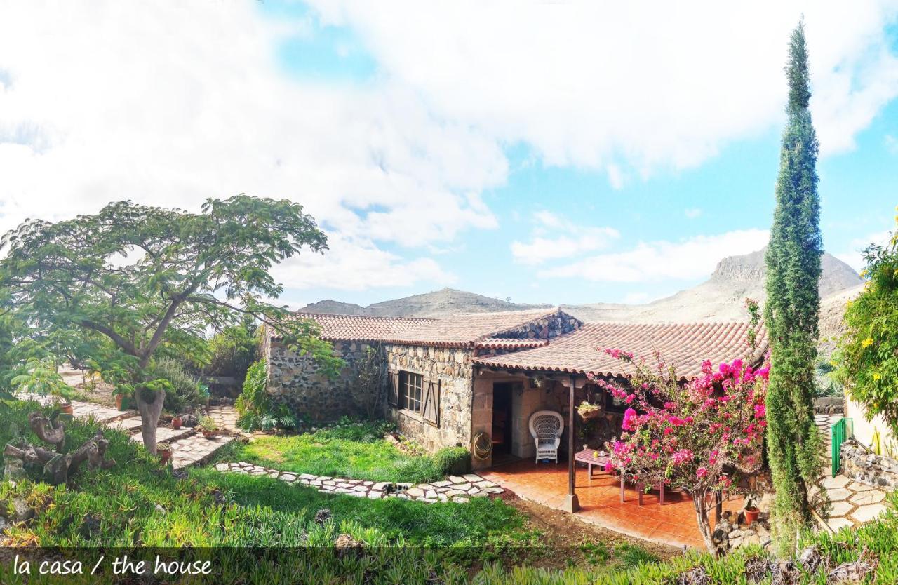 Live Finca San Miguel San Miguel de Abona Exterior photo