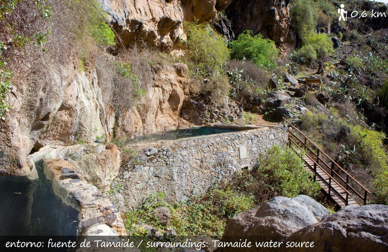 Live Finca San Miguel San Miguel de Abona Exterior photo