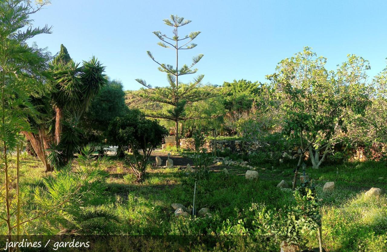 Live Finca San Miguel San Miguel de Abona Exterior photo