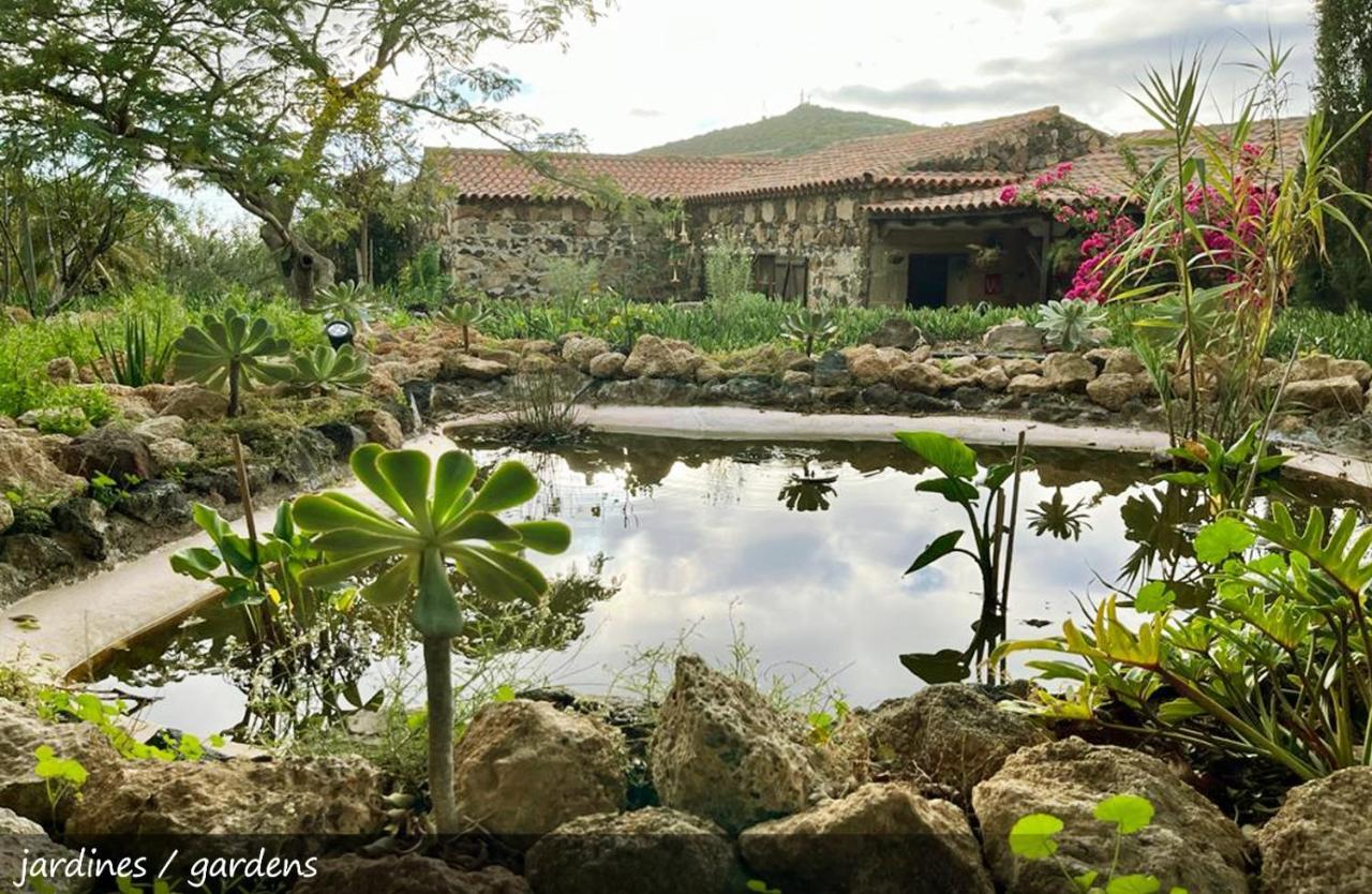 Live Finca San Miguel San Miguel de Abona Exterior photo